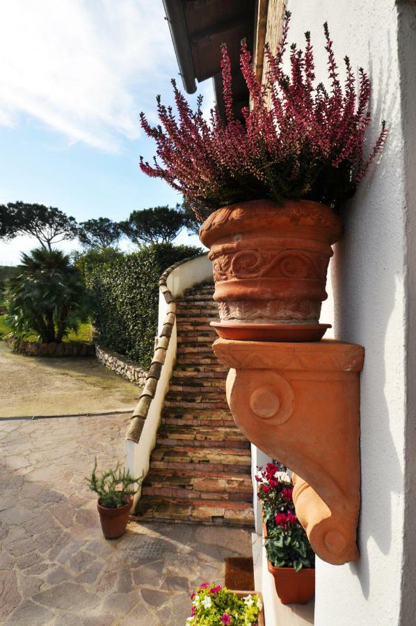 Pepe Guest House Rome Exterior photo
