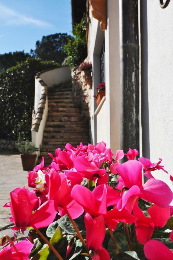 Pepe Guest House Rome Exterior photo
